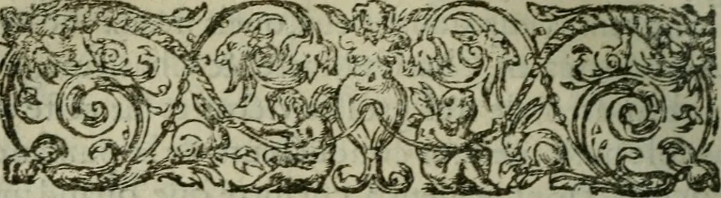 An illustration from Discovrs politiqves et militaires. Nouuellement recueillis & mis en lumiere, 1587, leaf 401