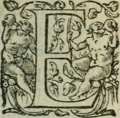 An illustration from Discovrs politiqves et militaires. Nouuellement recueillis & mis en lumiere, 1587, leaf 654