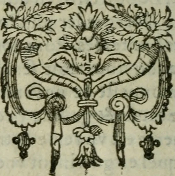 An illustration from Discovrs politiqves et militaires. Nouuellement recueillis & mis en lumiere, 1587, leaf 729
