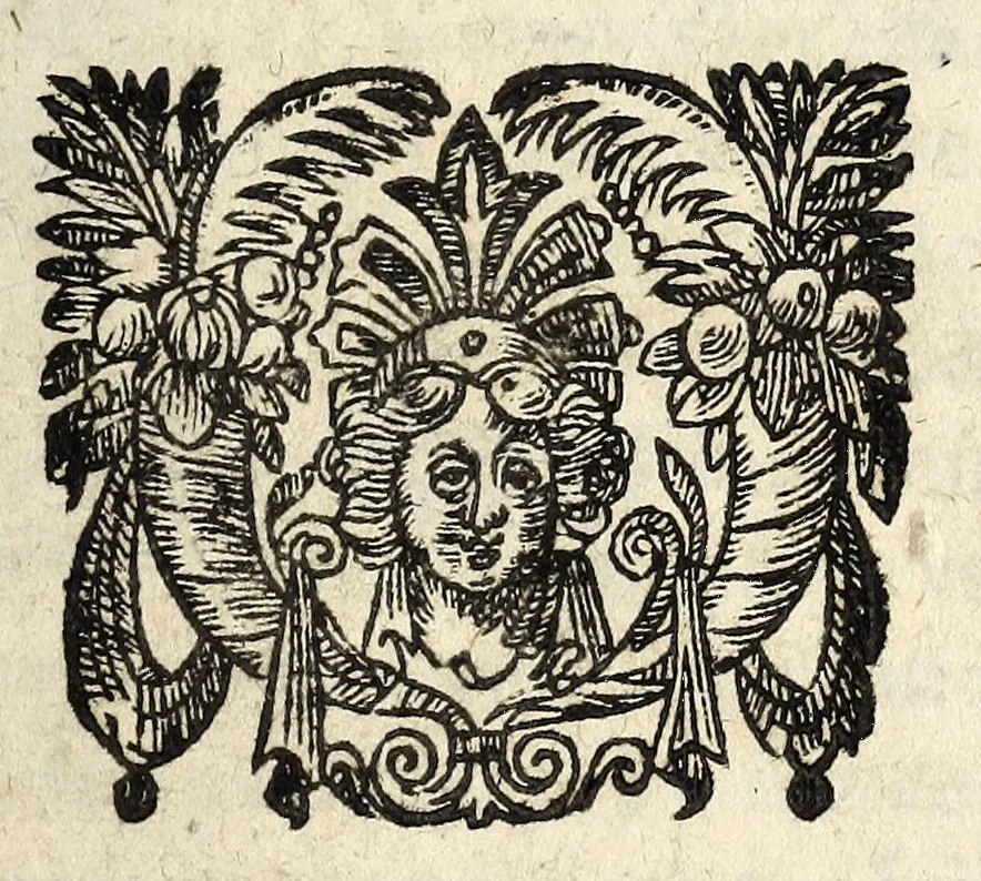 An illustration from Discovrs sur le suiect de la mort du seigneur Struard, Escossois, decapité deuant le Chasteau du Louure à Paris. Le Lundy 27. de Februier dernier., 1617, leaf 17