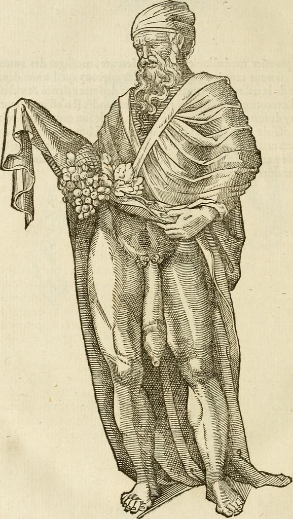 An illustration from Discovrs svr les medalles et gravevres antiques, principalement romaines. Plus, vne exposition particuliere de quelques planches ou tables estans sur la fin de ce liure, esquelles sont monstrees diuerses medalles & graueures antiques, rares & exquises, 1579, leaf 315
