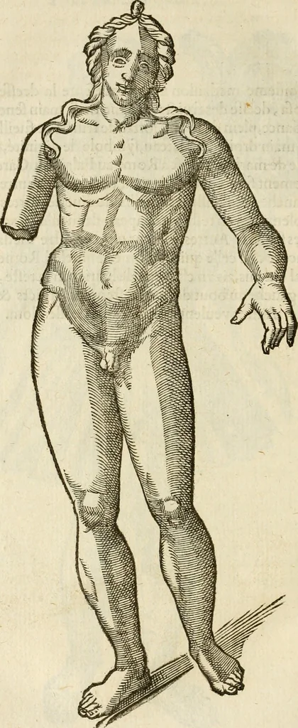 An illustration from Discovrs svr les medalles et gravevres antiques, principalement romaines. Plus, vne exposition particuliere de quelques planches ou tables estans sur la fin de ce liure, esquelles sont monstrees diuerses medalles & graueures antiques, rares & exquises, 1579, leaf 319
