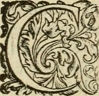 An illustration from Discovrs svr les medalles et gravevres antiques, principalement romaines. Plus, vne exposition particuliere de quelques planches ou tables estans sur la fin de ce liure, esquelles sont monstrees diuerses medalles & graueures antiques, rares & exquises, 1579, leaf 53