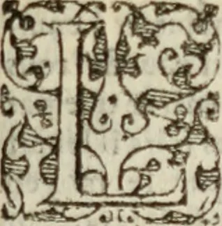 An illustration from Discovrs svr les moyens de bien govverner & maintenir en bonne paix vn royaume, ou autre principauté. Divisez en trois parties, assavoir, dv conseil, de la religion, & de la police que doit tenir vn prince. Contre Nicolas Machiauel Florentin .., 1577, leaf 516