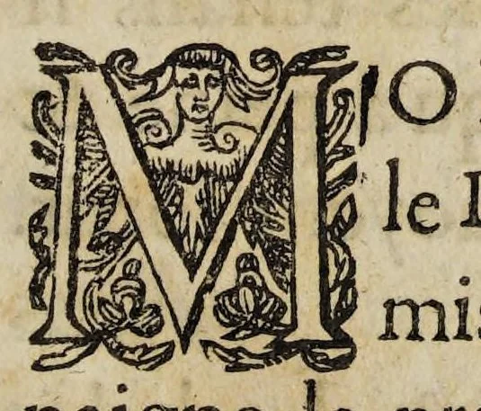 An illustration from Discovrs veritable de la prinse de la ville basse de Carcassonne cy deuant detenuë & occupee par les heretiques rebelles, & maintenant reünie auec les Catholiques, le quinziesme iour de Decembre dernier. 1591., 1592, leaf 11
