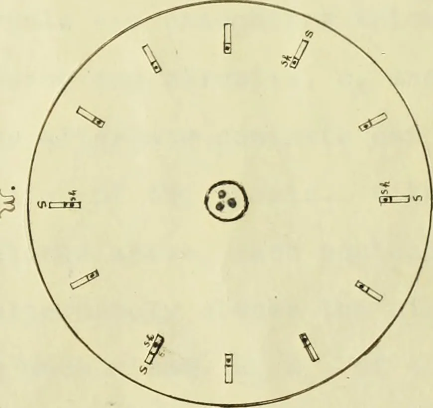 An illustration from Discriminative efficiency for rectangular areas of varying degree of chromatic illumination, 1912, leaf 14