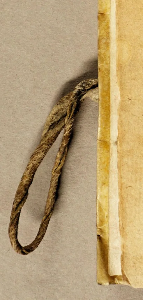 An illustration from Discursos predicables de las excelencias del nombre de Iesus, y de los nombres y atributos de Christo., 1619, leaf 8