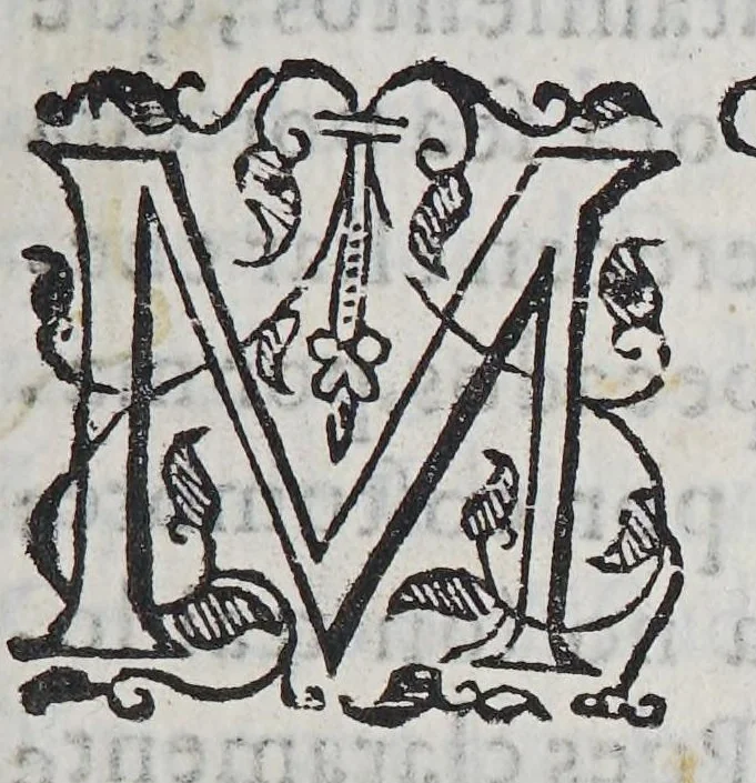 An illustration from Discursos sobre los comercios de las dos Indias, : donde se tratan materias importantes de estado, y guerra., 1622, leaf 25