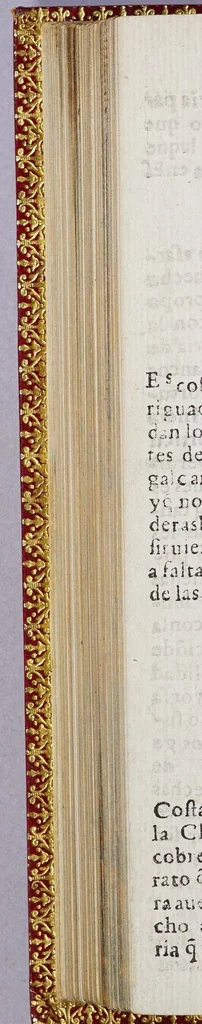 An illustration from Discursos sobre los comercios de las dos Indias, : donde se tratan materias importantes de estado, y guerra., 1622, leaf 468