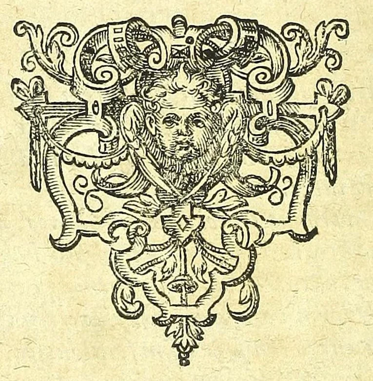 An illustration from Discursus medico-philosophicus de casu adolescentis cujusdam Argentoratensis mirabili :, 1617, leaf 142