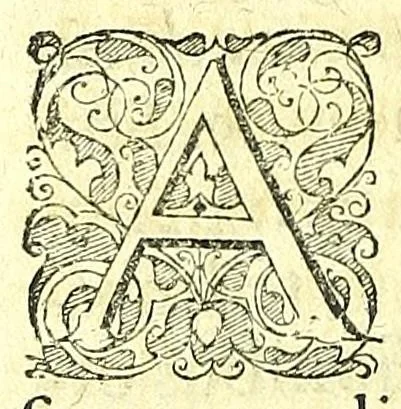 An illustration from Discursus medico-philosophicus de casu adolescentis cujusdam Argentoratensis mirabili :, 1617, leaf 16