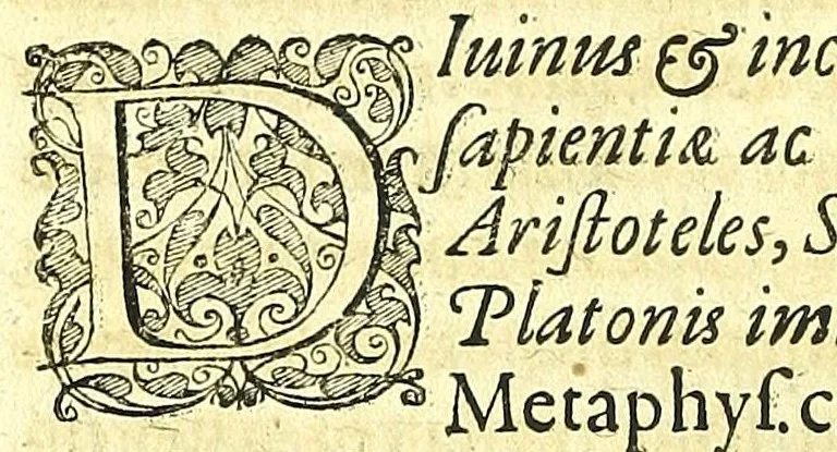 An illustration from Discursus medico-philosophicus de casu adolescentis cujusdam Argentoratensis mirabili :, 1617, leaf 20