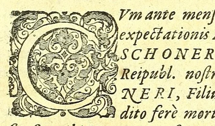 An illustration from Discursus medico-philosophicus de casu adolescentis cujusdam Argentoratensis mirabili :, 1617, leaf 7