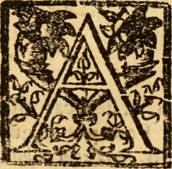 An illustration from Discvrso astro nomico sobre el cometa : estrella que de nueuo ha aparecido en el Zodiaco, en 18.grados del signo de Sagitario, cerca de la Ecliptica, con poca latitud septentrional, a los 8. de Octubre 1604, 1604, leaf 13