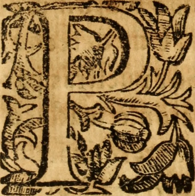 An illustration from Discvrsos varios de historia : con mvchas escritvras reales antigvas, y notas a algvnas dellas., 1683, leaf 310