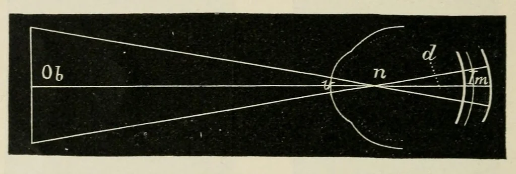 An illustration from Diseases of the eye., 1890, leaf 40