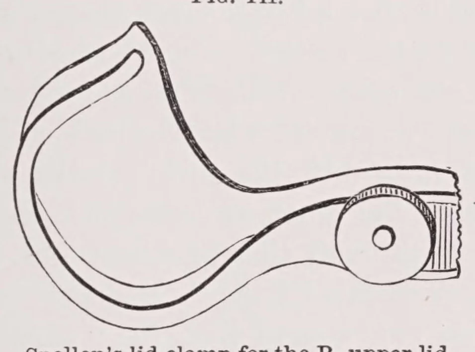 An illustration from Diseases of the eye, 1900, leaf 407