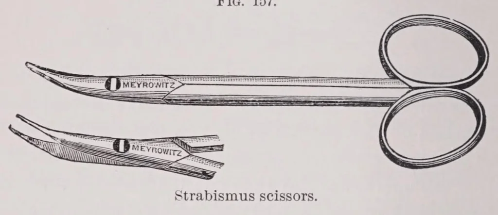 An illustration from Diseases of the eye, 1900, leaf 424