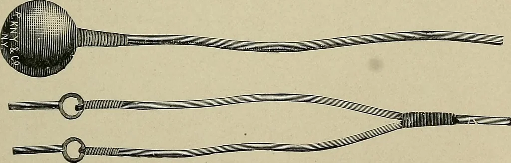 An illustration from Diseases of the stomach : a text-book for practitioners and students, 1906, leaf 147