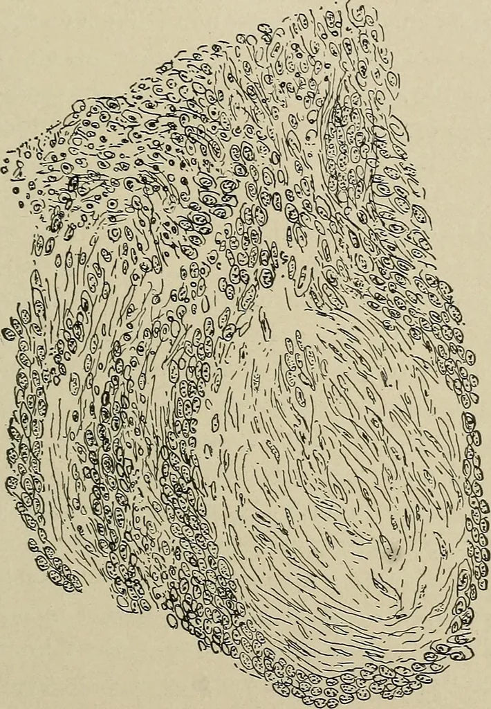 An illustration from Diseases of the stomach : a text-book for practitioners and students, 1906, leaf 265