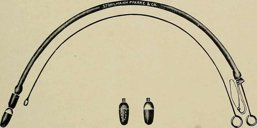 An illustration from Diseases of the stomach : a text-book for practitioners and students, 1906, leaf 363
