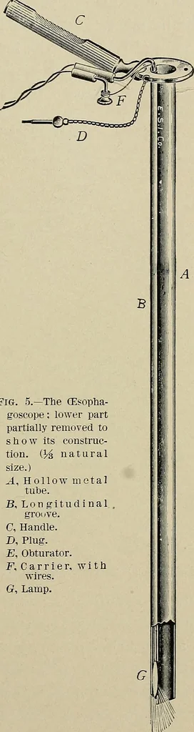 An illustration from Diseases of the stomach : a text-book for practitioners and students, 1906, leaf 63