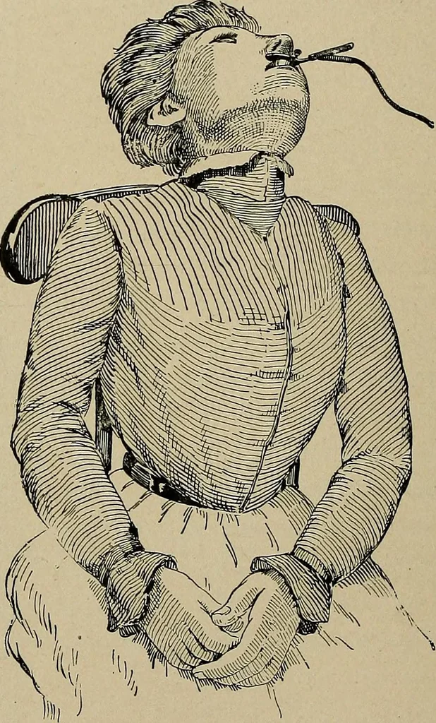 An illustration from Diseases of the stomach : a text-book for practitioners and students, 1906, leaf 64