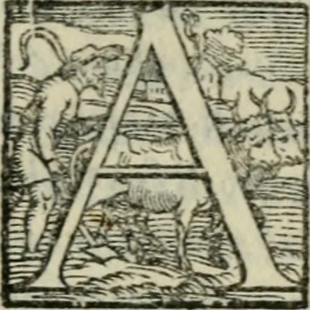 An illustration from Disegno del Doni : partito in piv ragionamenti, ne qvali si tratta della scoltvra et pittvra : de colori, de getti, de modegli, con molte cose appartenenti a quest'arti : & si termina la nobiltà dell'una et dell'altra professione : con historie, essempi, et sentenze : & nel fine alcune lettere che trattano della medesima materia, 1549, leaf 104