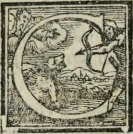 An illustration from Disegno del Doni : partito in piv ragionamenti, ne qvali si tratta della scoltvra et pittvra : de colori, de getti, de modegli, con molte cose appartenenti a quest'arti : & si termina la nobiltà dell'una et dell'altra professione : con historie, essempi, et sentenze : & nel fine alcune lettere che trattano della medesima materia, 1549, leaf 119