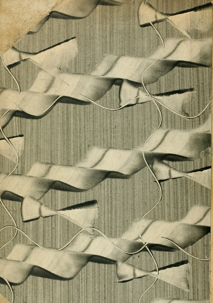 An illustration from Dispareri in materia d'architettura e prospettiva, 1771, leaf 165