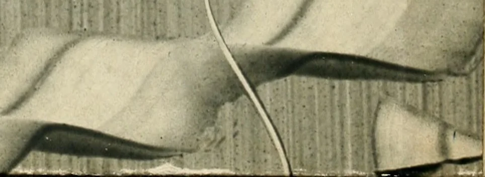 An illustration from Dispareri in materia d'architettura e prospettiva, 1771, leaf 165