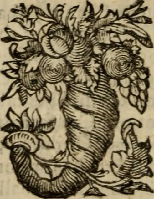 An illustration from A dispute against the English-Popish ceremonies, obtruded upon the Church of Scotland : wherein not only our own arguments against the same are strongly confirmed, but likewise the answers and defences of our opposites, such as Hooker, Mortoune, Burges, Sprint, Paybody, Andrewes, Saravia, Tilen, Spotswood, Lindsey, Forbesse, &c. particularly confuted, 1637, leaf 115
