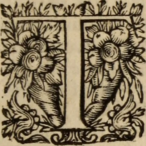 An illustration from A dispute against the English-Popish ceremonies, obtruded upon the Church of Scotland : wherein not only our own arguments against the same are strongly confirmed, but likewise the answers and defences of our opposites, such as Hooker, Mortoune, Burges, Sprint, Paybody, Andrewes, Saravia, Tilen, Spotswood, Lindsey, Forbesse, &c. particularly confuted, 1637, leaf 116