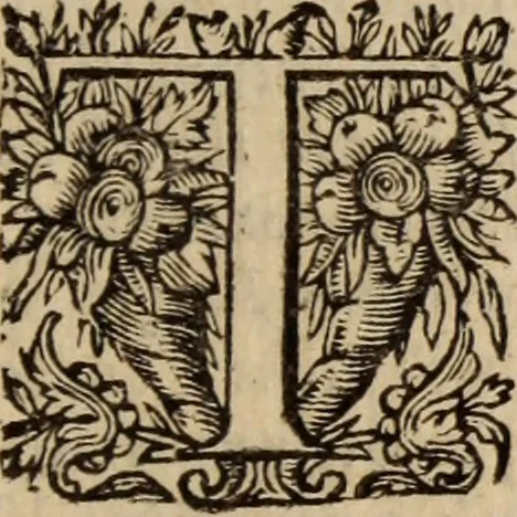 An illustration from A dispute against the English-Popish ceremonies, obtruded upon the Church of Scotland : wherein not only our own arguments against the same are strongly confirmed, but likewise the answers and defences of our opposites, such as Hooker, Mortoune, Burges, Sprint, Paybody, Andrewes, Saravia, Tilen, Spotswood, Lindsey, Forbesse, &c. particularly confuted, 1637, leaf 26