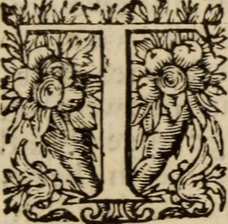 An illustration from A dispute against the English-Popish ceremonies, obtruded upon the Church of Scotland : wherein not only our own arguments against the same are strongly confirmed, but likewise the answers and defences of our opposites, such as Hooker, Mortoune, Burges, Sprint, Paybody, Andrewes, Saravia, Tilen, Spotswood, Lindsey, Forbesse, &c. particularly confuted, 1637, leaf 62