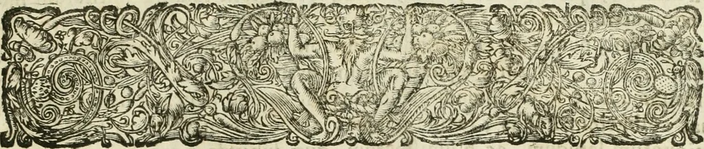 An illustration from Duplex dissertatio de duobus nummis Diocletiani et Licinii : ex cimelijs sereniss. ac reuerendiss. principis Leopoldi Cardinalis Medicei, cum auctario chronologico de votis decennalibus imperatorum ac caesarum, 1676, leaf 8