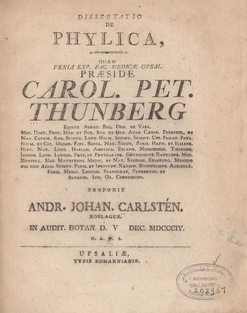 An illustration from Dissertatio de Phylica : quam venia exp. Fac. Medicæ Upsal. præside Carol. Pet. Thunberg ..., 1804, leaf 5