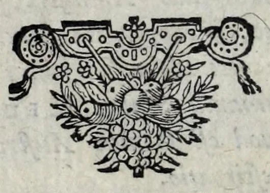 An illustration from Dissertatio de ratione status in imperio nostro Romano-Germanico : in qua, tum, qualisnam reverà in eo status sit ..., 1647, leaf 28