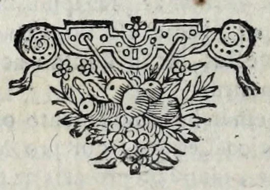An illustration from Dissertatio de ratione status in imperio nostro Romano-Germanico : in qua, tum, qualisnam reverà in eo status sit ..., 1647, leaf 364