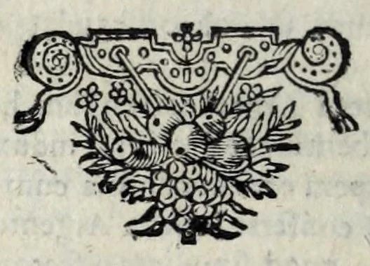 An illustration from Dissertatio de ratione status in imperio nostro Romano-Germanico : in qua, tum, qualisnam reverà in eo status sit ..., 1647, leaf 572