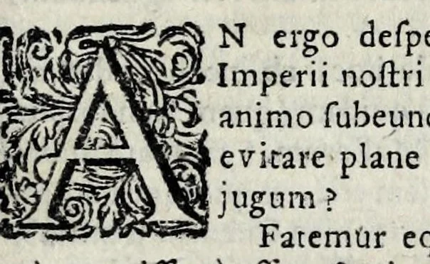 An illustration from Dissertatio de ratione status in imperio nostro Romano-Germanico : in qua, tum, qualisnam reverà in eo status sit ..., 1647, leaf 573