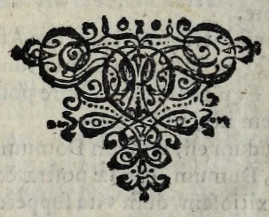 An illustration from Dissertatio de ratione status in imperio nostro Romano-Germanico : in qua, tum, qualisnam reverà in eo status sit ..., 1647, leaf 644