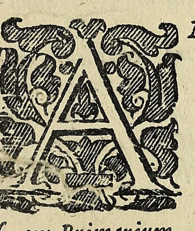 An illustration from Dissertatio epistolica de bombyce .., 1669, leaf 13