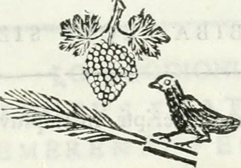 An illustration from Dissertatio et animadversiones ad nuper inventum Severae martyris epitaphium, 1734, leaf 158