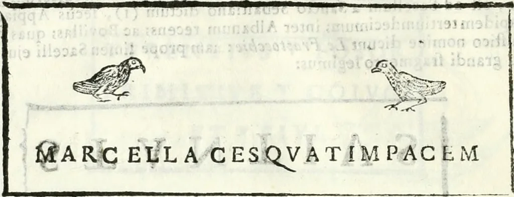 An illustration from Dissertatio et animadversiones ad nuper inventum Severae martyris epitaphium, 1734, leaf 163
