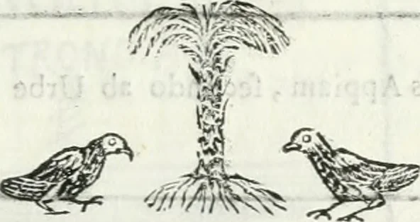 An illustration from Dissertatio et animadversiones ad nuper inventum Severae martyris epitaphium, 1734, leaf 176