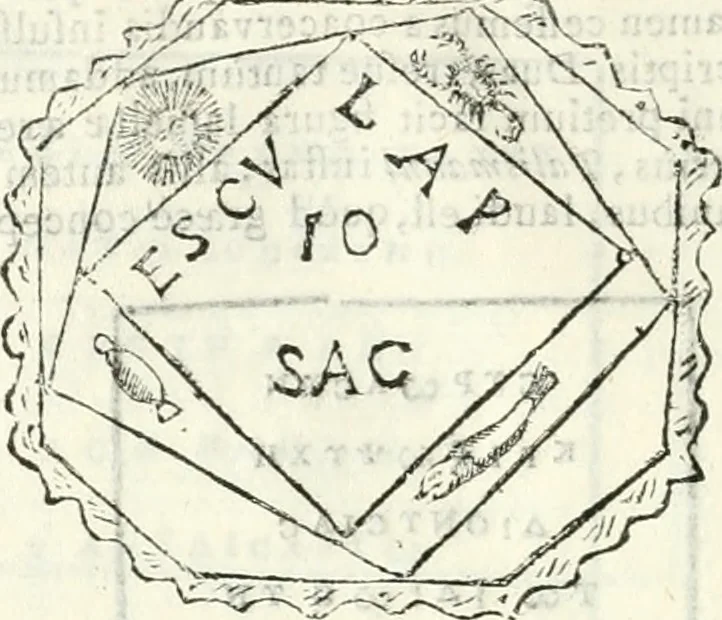 An illustration from Dissertatio et animadversiones ad nuper inventum Severae martyris epitaphium, 1734, leaf 181