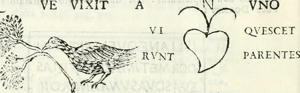 An illustration from Dissertatio et animadversiones ad nuper inventum Severae martyris epitaphium, 1734, leaf 185