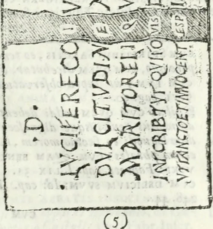 An illustration from Dissertatio et animadversiones ad nuper inventum Severae martyris epitaphium, 1734, leaf 210