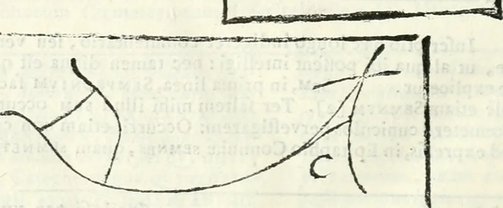 An illustration from Dissertatio et animadversiones ad nuper inventum Severae martyris epitaphium, 1734, leaf 219
